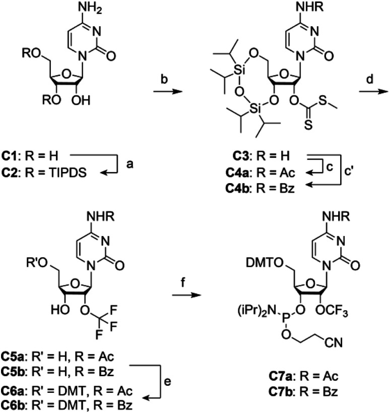 Scheme 1