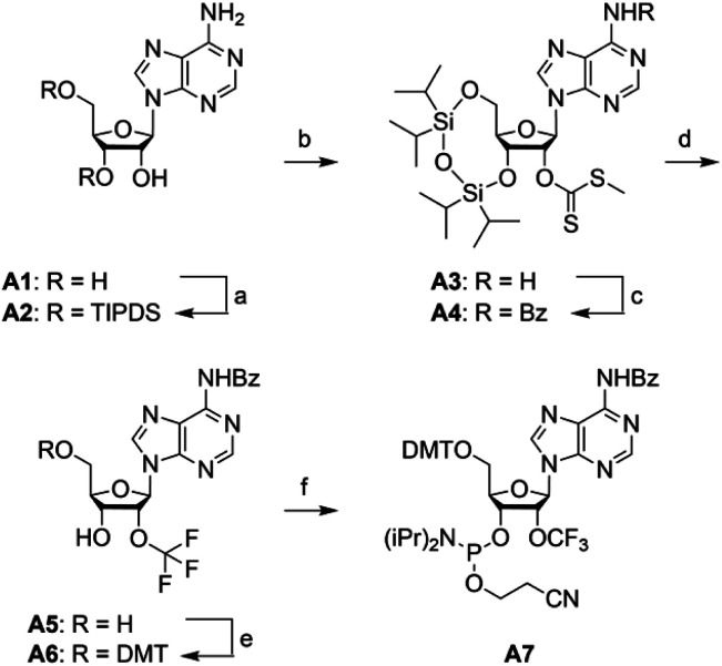 Scheme 2