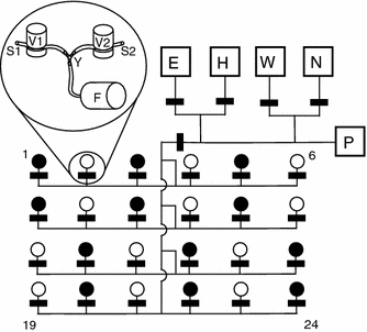 Fig. 1