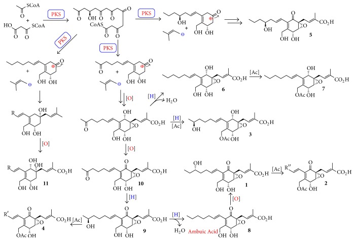 Figure 5