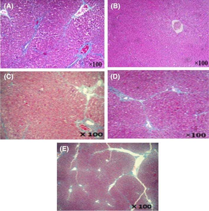 Fig. 4