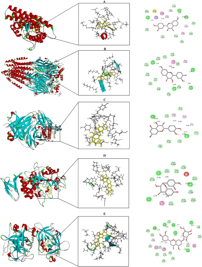 Figure 5