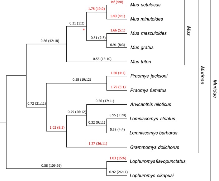 FIG 4