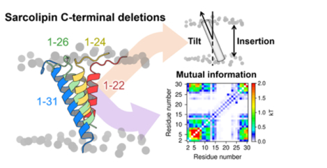 graphic file with name nihms-1612316-f0001.jpg