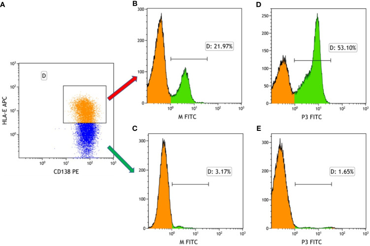 Figure 3