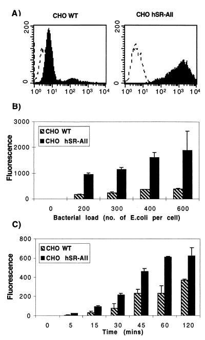 FIG. 1