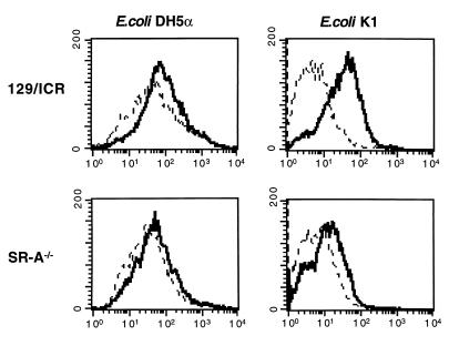 FIG. 8