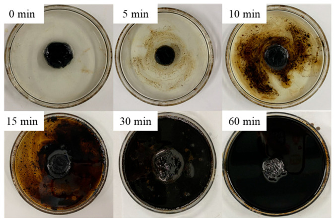 Figure 12