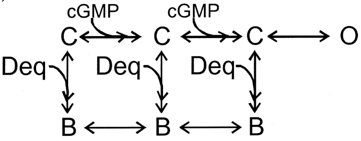 SCHEME II