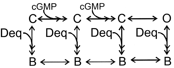 SCHEME IV