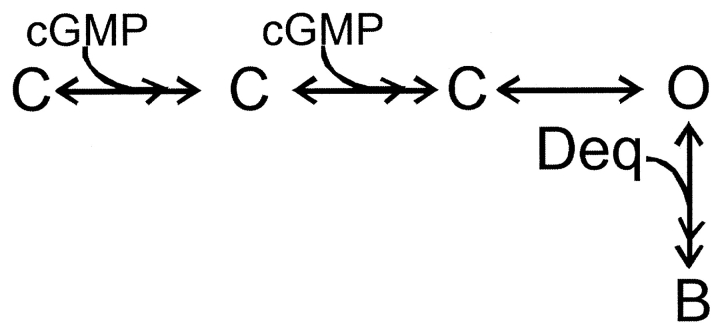 SCHEME III