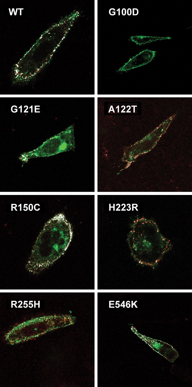 Figure 3.