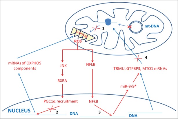 Figure 5.