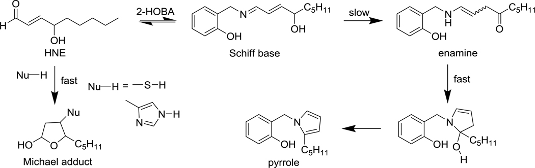 Fig. 16