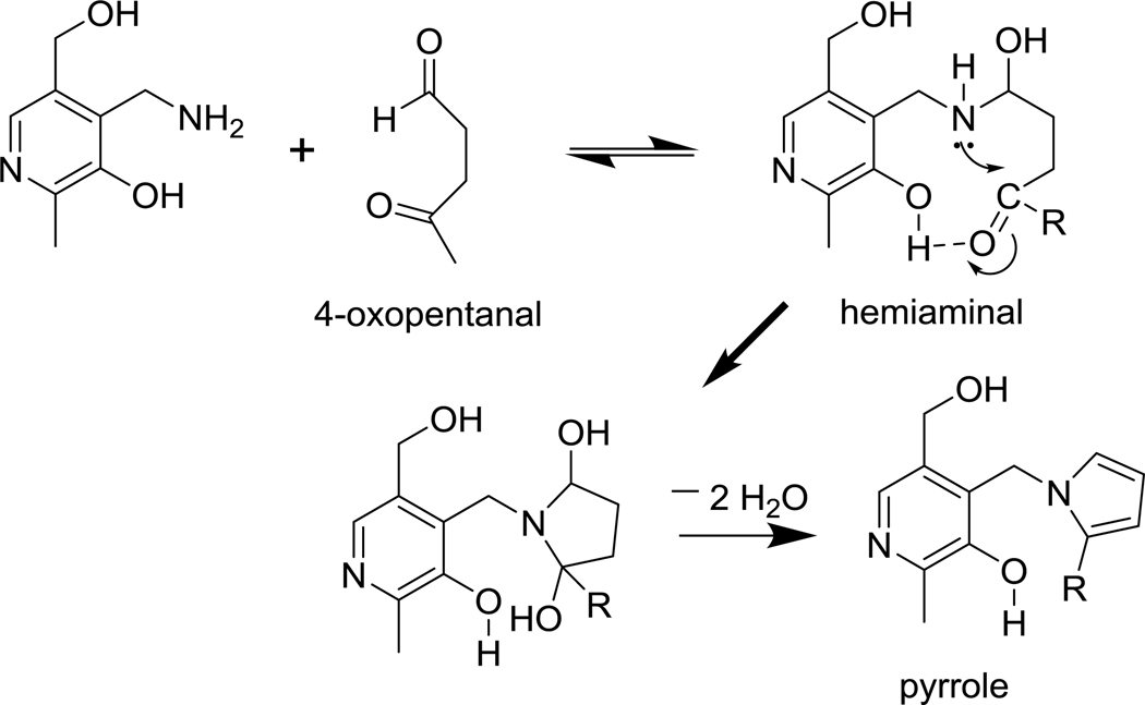 Fig. 12