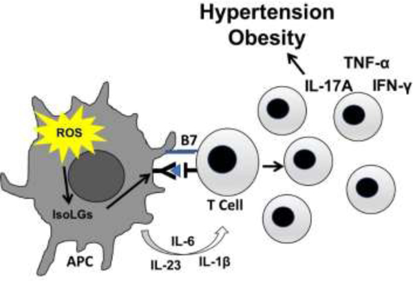 Figure 17: