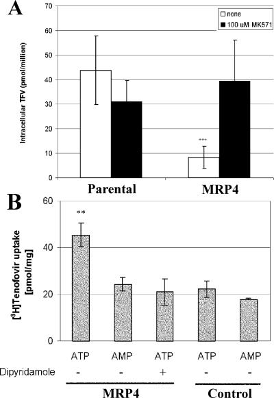 FIG. 6.