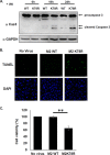 FIG 8