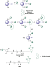 Figure 21