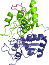 Figure 11
