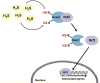 Figure 28