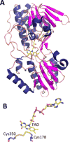 Figure 9