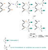 Figure 23