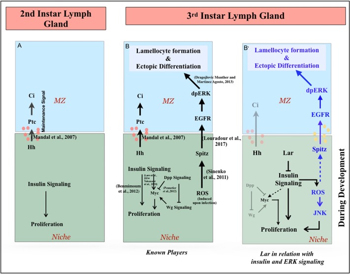 Fig. 7.