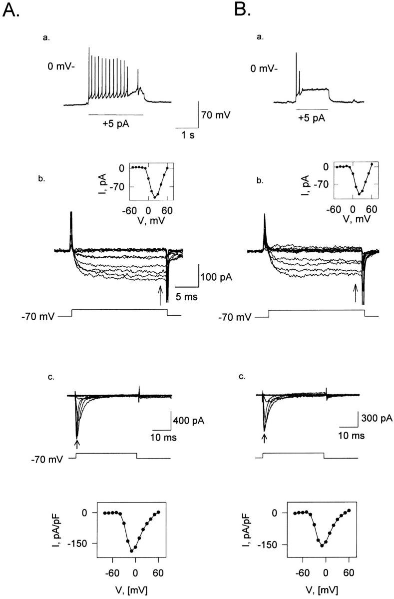 FIGURE 8