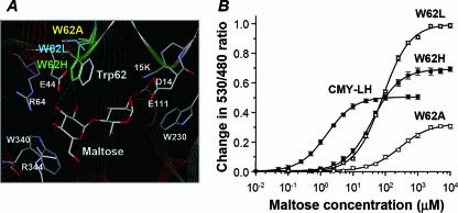 FIG. 2.