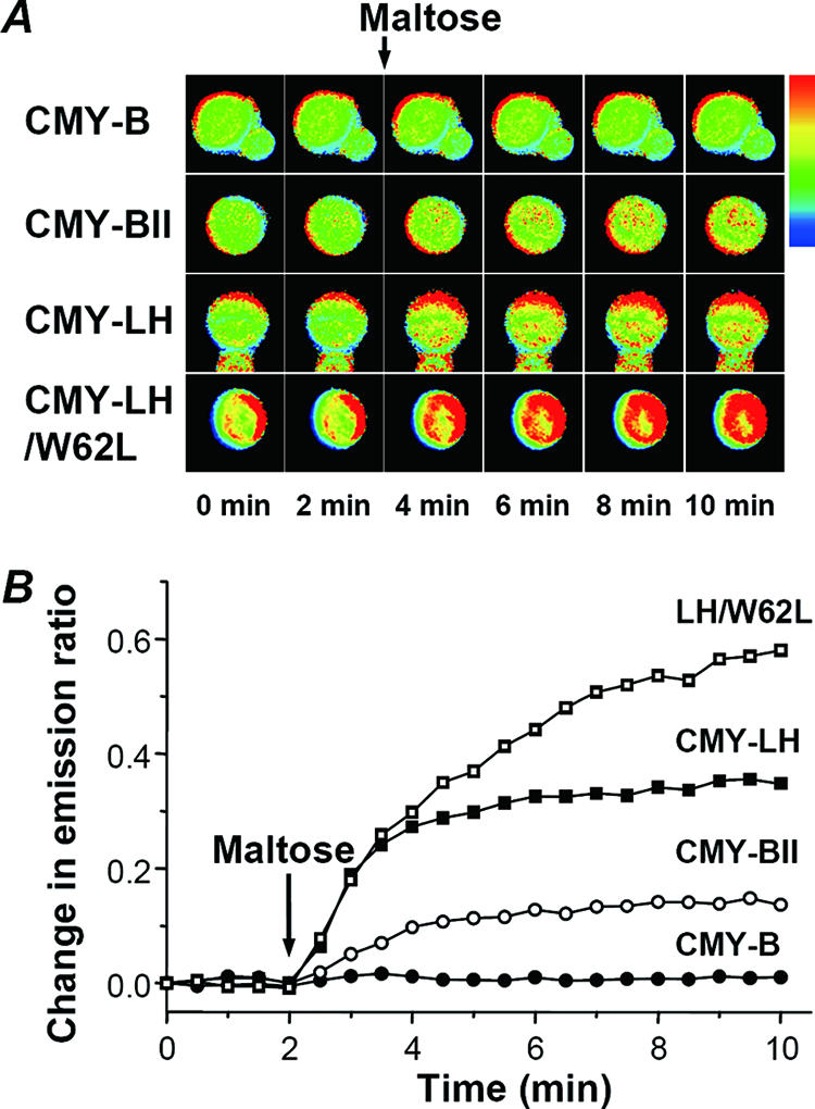 FIG. 4.