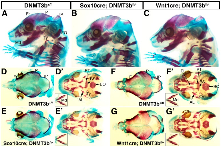 Figure 6