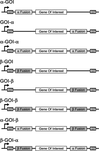 FIGURE 1.