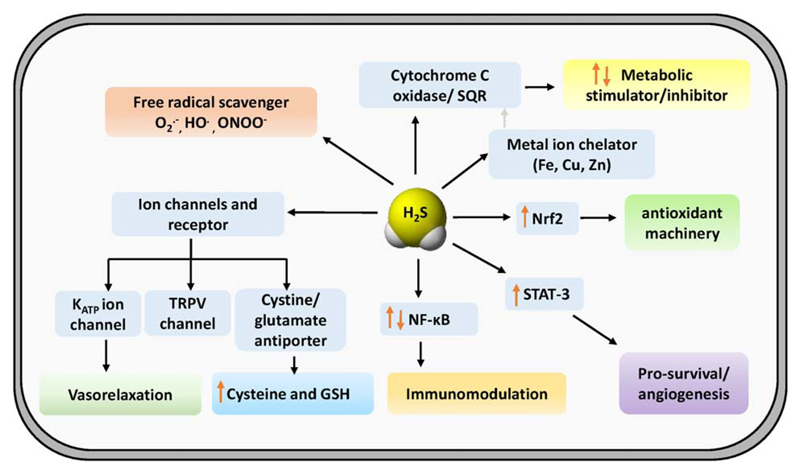 Fig 1