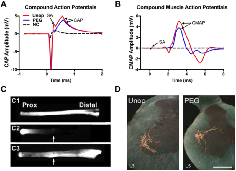 Figure 3.