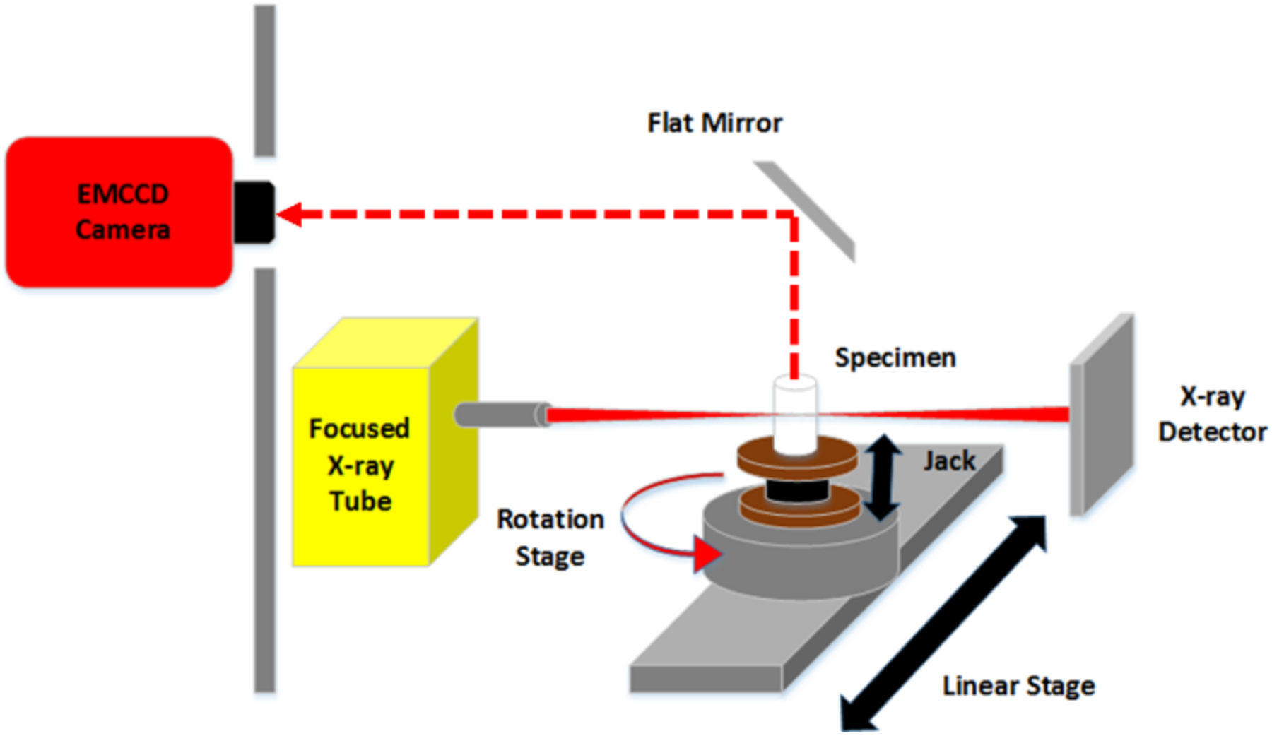 Fig 1.