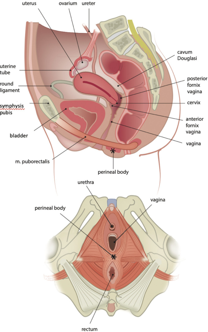 Figure 6.