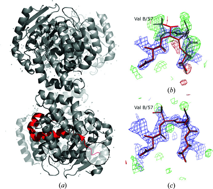 Figure 6