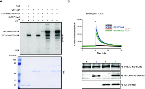 Fig. S6.