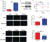 Figure 7