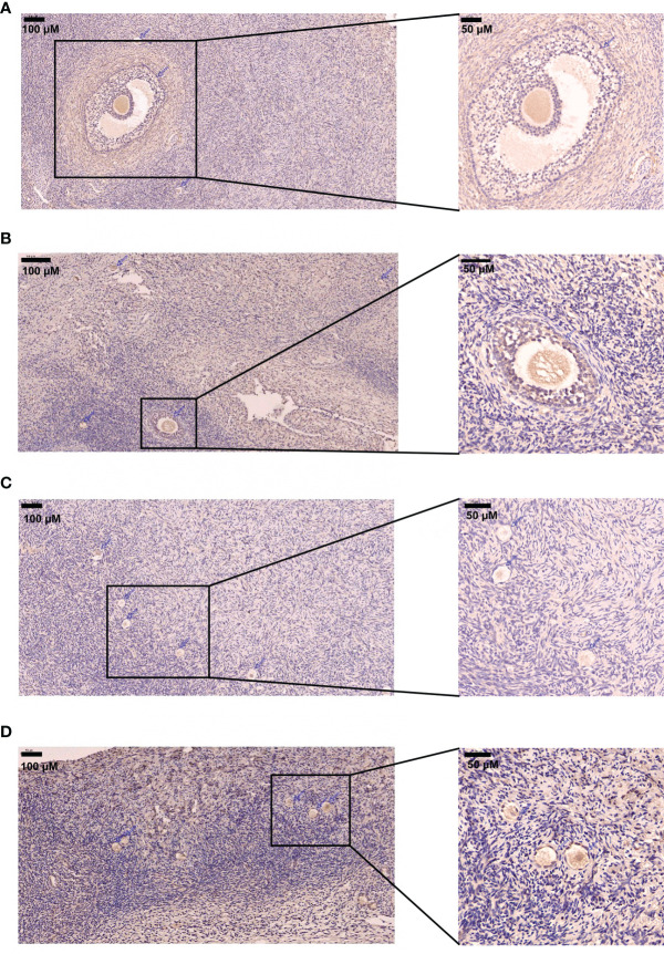 Figure 5