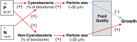 Fig 11