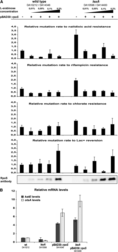 Figure 4.—