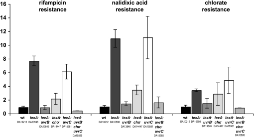 Figure 3.—