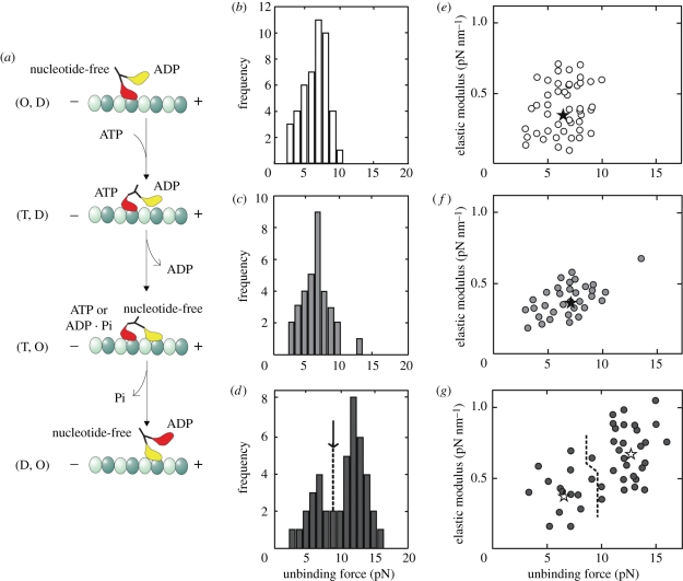 Figure 3.