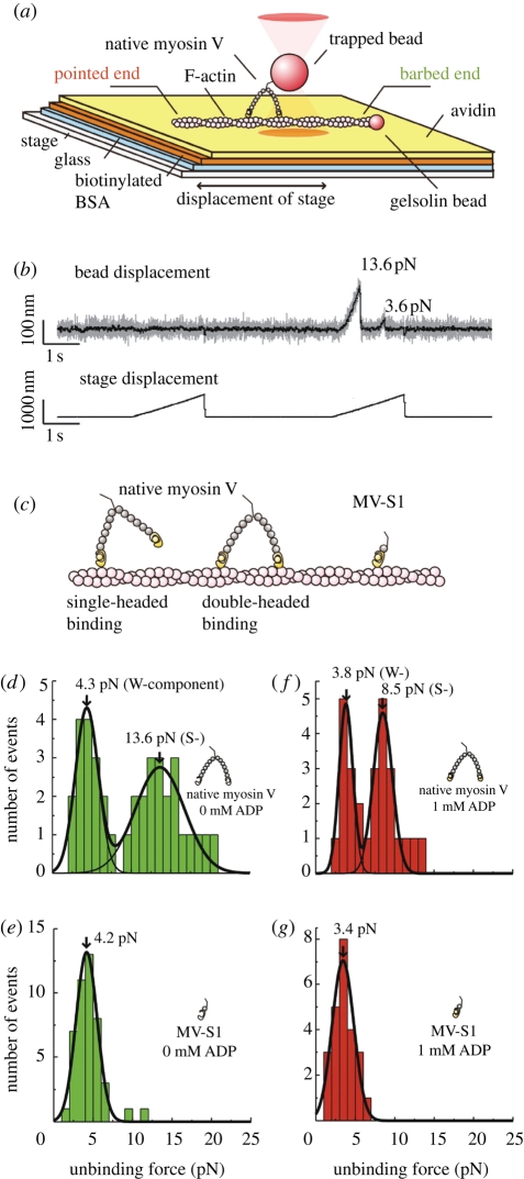 Figure 7.