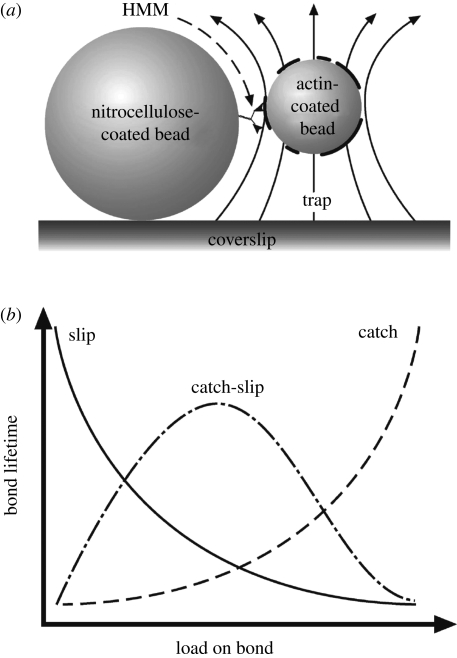 Figure 2.