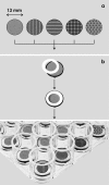 Fig. 1