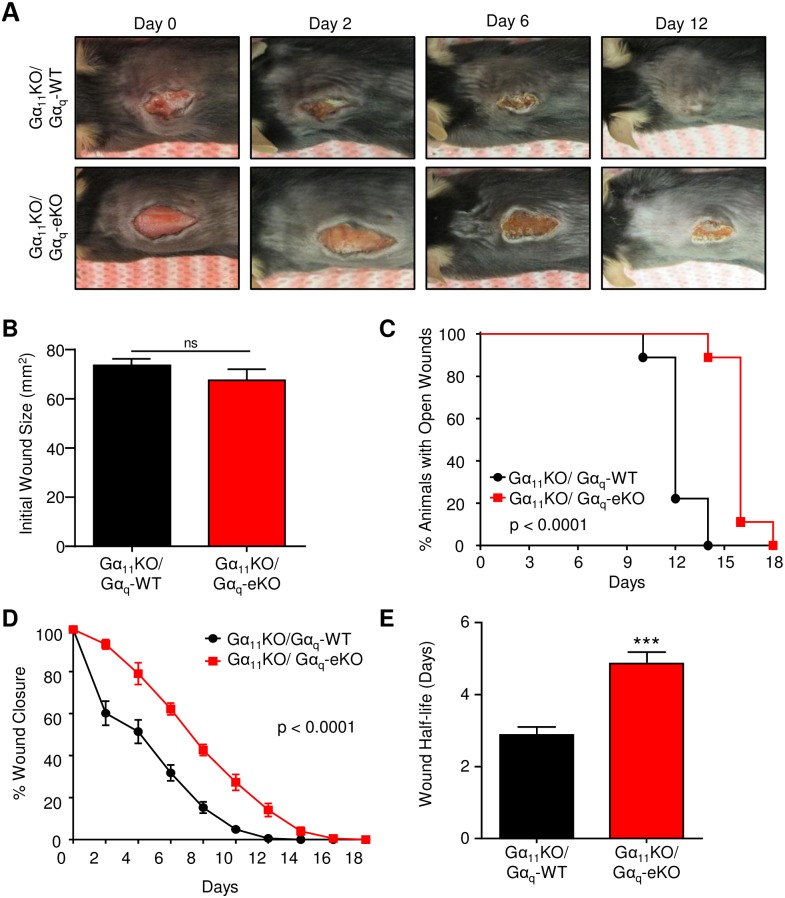 Fig 4