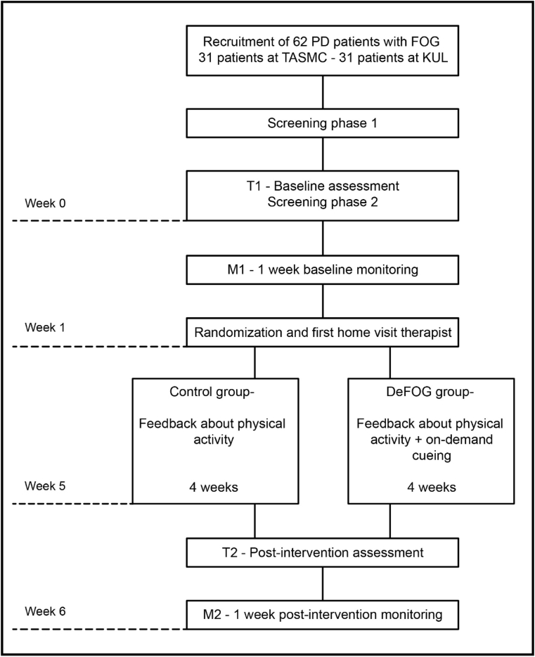 Fig. 1